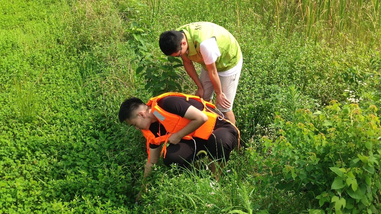 mk体育官网