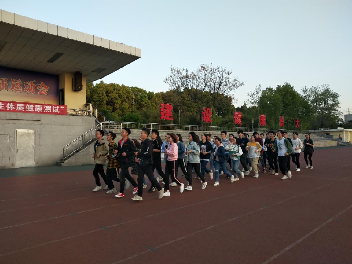 mk体育官网