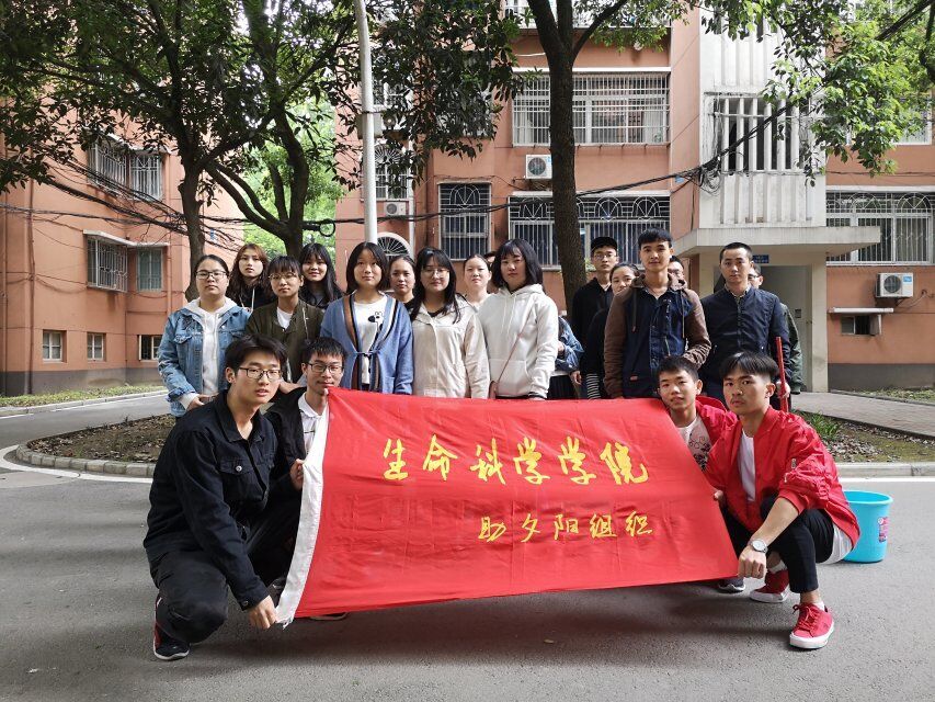 mk体育官网
