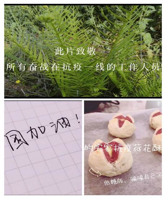http://jjglxy.yangtzeu.edu.cn/__local/C/AF/D1/F69866AD9F8B78E083E48858FCC_1AE1B188_3BE94.jpg mk体育官网
